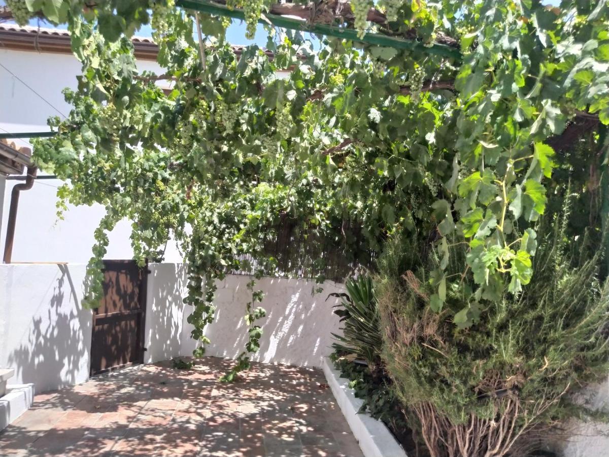 Villa La Casa del Inglés à Montefrío Extérieur photo